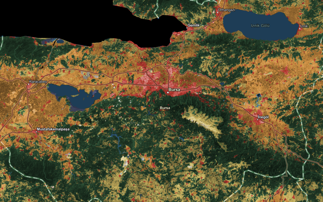 Esri Land Cover Map: 3 Adımda Arazi Örtüsü Haritası Oluşturma