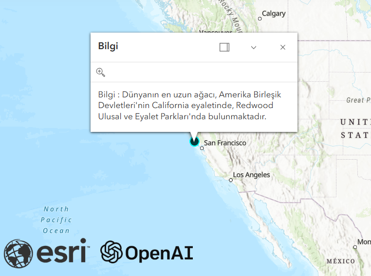 ArcGIS Maps SDK for JavaScript ile Web UygulamalarÄ± â€“ 11 OpenAI API TarafÄ±ndan AlÄ±nan Bilgilerin Haritada GÃ¶sterimi